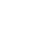 Program Icon 1