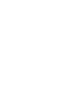 Program Icon 2
